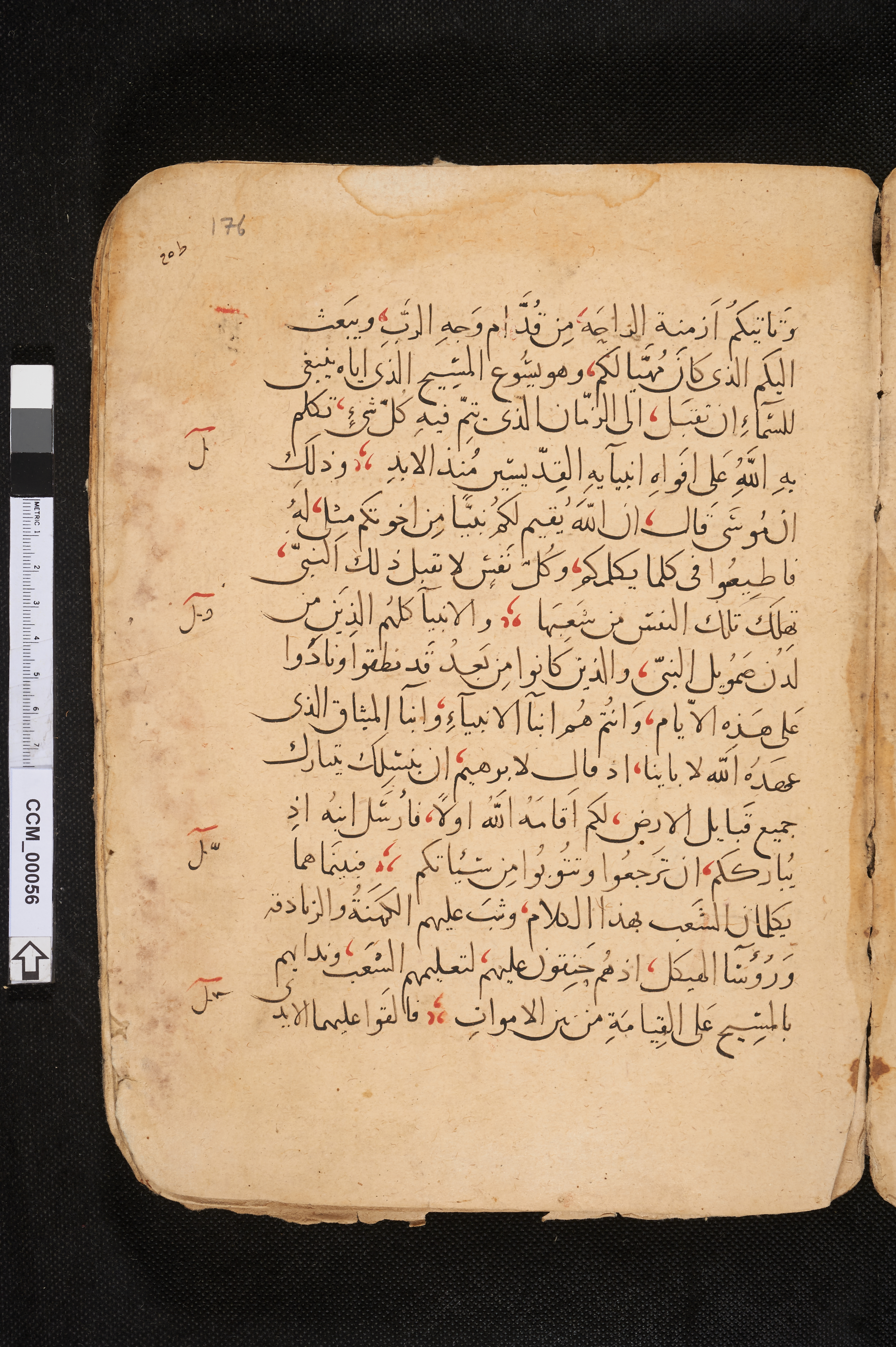 Naskh, 14th Century